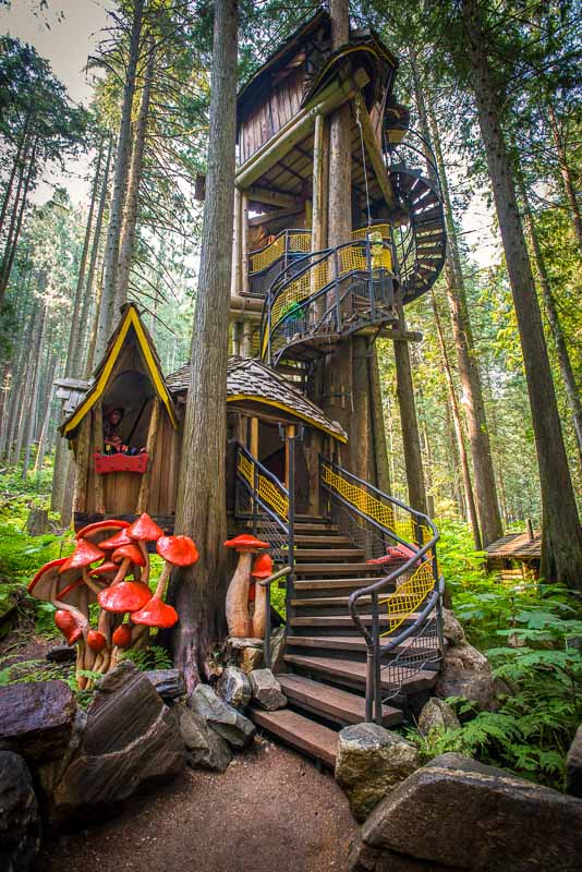 12-biggest-tree-houses-in-the-world-top-biggest