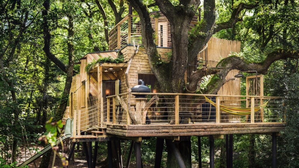 Woodsman's Tree House