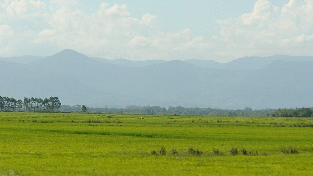 These beautiful grasslands are the Pampas of Argentina, Brazil and Uruguay