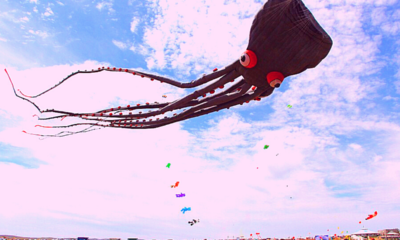 Biggest Kites In The World