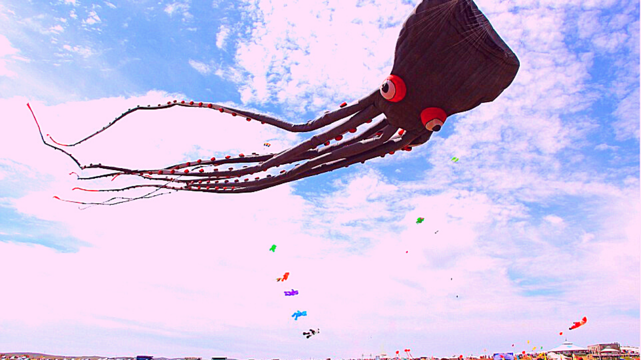 15-biggest-kites-in-the-world