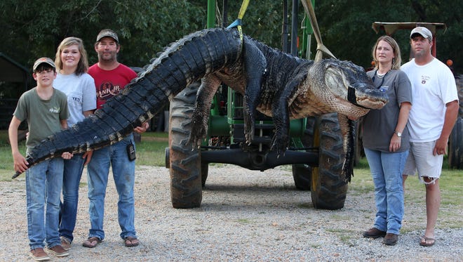 The Alabama Alligator