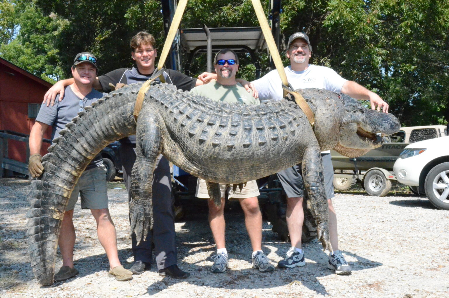 7 Biggest Alligators In The World